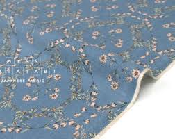 Image result for Regency D-100