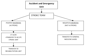 patient with stroke in the hospital stroke flow chart