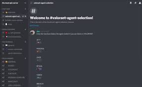 Minecraft server which supports bukkit plugins; Make And Code You A Professional Discord Server By Alexpyatigorsky Fiverr