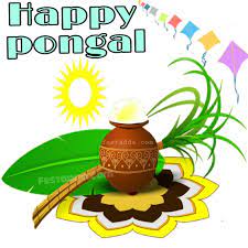 Happy Pongal Images Hd Happy Pongal Wishes Happy Pongal Wishes Images