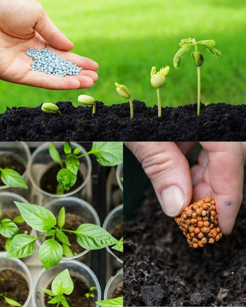 Tea Seed Meal manufacturer