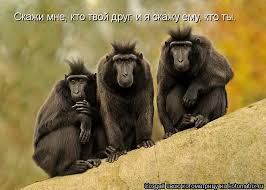 скажи мне кто твой друг и я скажу кто ты автор Kotomatrica Skazhi Mne Kto Tvoj Drug I Ya Skazhu Emu Kto Ty