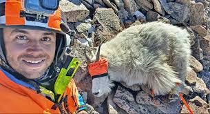 Cody Maas's Instagram, Twitter & Facebook