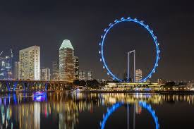 City sights and unparalleled vistas. Singapore Flyer At Night Singapore Night Skies Night