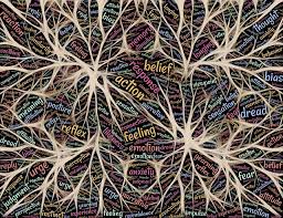Sense-Making - Complexity Consulting