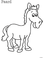 Paardenkop | paardenkop is a company based out of 21 tiensesteenweg, leuven, belgium. Paard