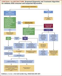 Image result for Myocarditis
