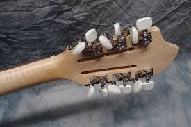 Projects 1 5 Luthiery Laboratories