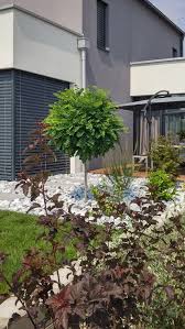 Terrasse Tropenholz Wiese Architektenhaus Designer Garten Garten Architekt Wiese