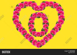 Find the perfect letter o stock illustrations from getty images. Alphabet O Design Image Photo Free Trial Bigstock