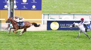 A limited number of single session tickets will be released at a later date. 5 16 21 Paris Longchamp The President Of The Uae Cup Coupe D Europe Des Chevaux Arabes Results And Reports