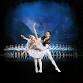 Swan Lake