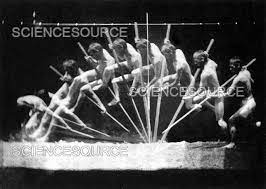 Pole Vault, 1885 | Stock Image - Science Source Images