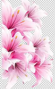 Lilium Bulbiferum Easter Lily Arum Lily Desktop Flower Png Annual Plant Arumlily Blossom Calla Lily Chrysanths Flower Drawing Lily Flower Lilium Flower