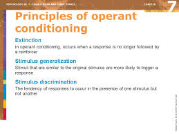 Learning And Conditioning Ppt Download