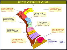 China dan india dipercaya sebagai asal. Padi Selangor Weblog Padi Selangor Pertanian Selangor Page 2