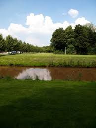 nagele flevoland country roads photo netherlands
