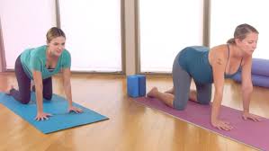 You'll need to byogoat to get in on that goat yoga situation, but i hunted down 14 other kinds of yoga youtube videos scroll on through to find your new fave workout for when you just can't class today. Prenatal Yoga