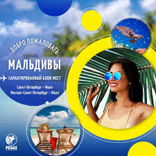 Контакты
