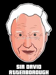 sir david attenborough vector cartoon Kids T-Shirt