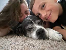 My sweet Houdini crossed the rainbow bridge today. He gave us 10 wonderful  years. His heart just couldn't handle much more