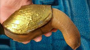 f.Be amazed when holding in your hands a precious snail decorated with a golden shell and containing countless precious gems inside.f