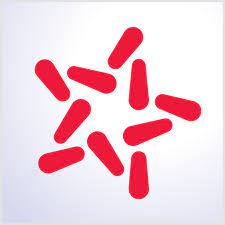 Mmmmmmmmmmlli mmmmmmmmmmlli mmmmmmmmmmlli mmmmmmmmmmlli mmmmmmmmmmlli Biz Mbbank Apps On Google Play