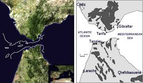 Gibraltar strait traffic density map. The Strait Of Gibraltar As A Melting Pot For Plant Biodiversity Sciencedirect