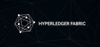 Metacoin became the first cryptocurrency of hyperledger's to achieve mainnet status when it went live in 2018. Hyperledger Fabric Time To Make The Leap An Enterprise Note By Bangbit Technologies Medium