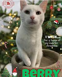 Bradie Gracie Berry"