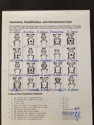 The shark is a fish the ichthyosaur is a reptile and the dolphin is a mammal. Dichotomous Key Worksheet Answers Printable Worksheets Are A Precious Lecture Room Tool They No In 2021 Biology Worksheet Dichotomous Key Kids Worksheets Printables
