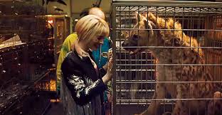 Glitter Harley Quinn Birds Of Prey Gif Https Encrypted Tbn0 Gstatic Com Images Q Tbn 3aand9gcs6c48vrvj5pyvt7ngh9fbi2klzyhchiwxdsw Usqp Cau