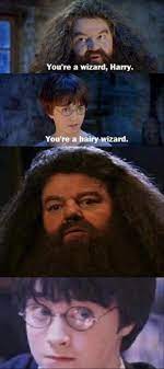 55 98+ your a wizard harry gifs tenor. Why Did I Laugh At This You Re A Wizard Harry Know Your Meme