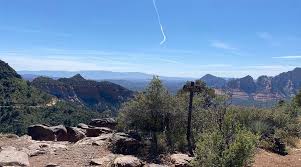 Image result for Schinziella