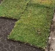 Grass Stabilisation Grid - Drivable Grass Pavers - Driveways ...