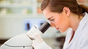 Erste Medizin-Uni in Brandenburg