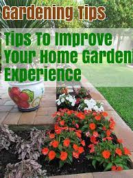 Pin On Gardening Ideas