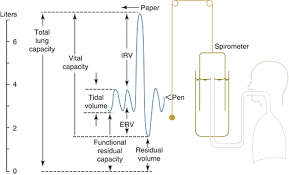 Image result for Functional Residual Capacity