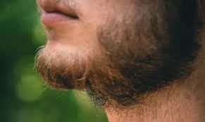 Whatever your reason for bleaching facial hair, the process is simple and easy to do at home. Should I Grow A Beard With A Shaved Head