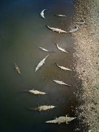 We did not find results for: Jaco Jaco Costa Rica Crock Bridge Visit Costa Rica Costa Rica Vacation Costa Rica Beaches