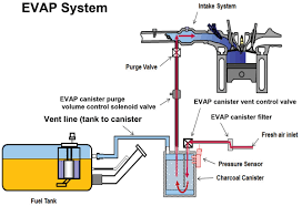 I have 2005 silverado and i want to remove the evap conister system completely but there is a big black hose going from the tank to the conister. Diagram S10 Evap Diagram Full Version Hd Quality Evap Diagram Carbeltdiagrams Seewhatimean It