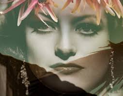 The Photo Workshop — Rob Davidson Photography