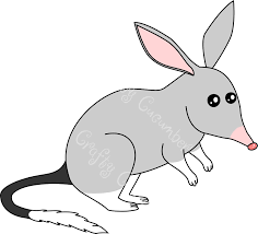 How To Draw A Bilby In 8 Easy Steps In 2021 Easy Doodle Art Drawings Make Your Own Card