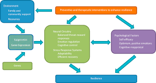 Technical, organization, social and economic. The Biology Of Human Resilience Opportunities For Enhancing Resilience Across The Life Span Biological Psychiatry