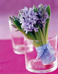 Check spelling or type a new query. How To Grow And Arrange A Hyacinth Wedding Bouquet