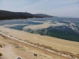 Salihoğlu says wastewater was discharged to the bottom of the sea with the. Sea Snot In Marmara Sea Threatens Tourism Fisheries Human Health Daily Sabah