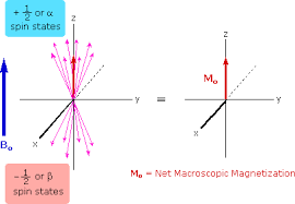 Undergraduate nmr and mri lecture course read to 3rd year chemistry students at the university of southampton by ilya kuprov. Nmr Spectroscopy