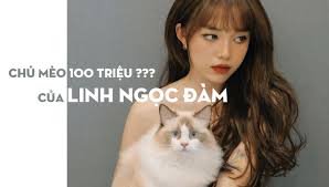 Linh ngọc đàm đính chính tin đồn streamer giàu dữ lắm, đôi lần khiến lâm vỹ dạ khó xử ở ơn giời #linhngọcđàm #lâmvỹdạ. Gia Meo Nha Linh Ngá»c Ä'am Co Be Gáº§n 100 Triá»‡u