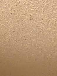 We did not find results for: Ceiling Dust Was Hanging From The Popcorn Ceiling Picture Of Ramada By Wyndham Odessa Near University Of Texas Permian Tripadvisor