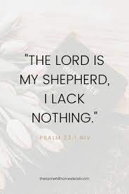 Pin On Quotes 3
